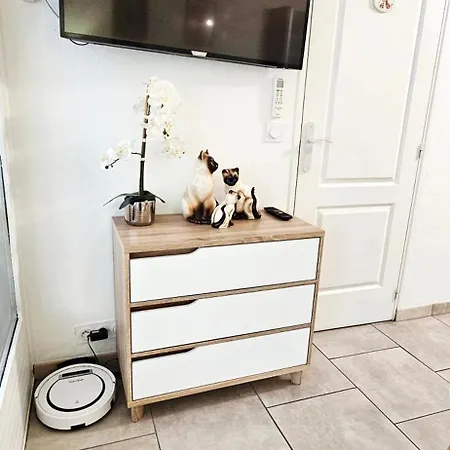 Neptune T2 Meublé De Tourisme 3 étoiles Amélie-les-Bains-Palalda