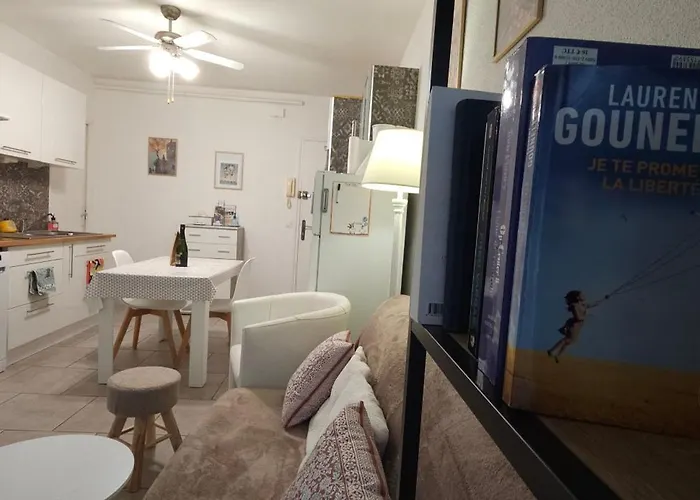 Apartment Neptune T2 Meuble De Tourisme 3 Etoiles - Forfait Cure Sur Demande Amelie-les-Bains-Palalda