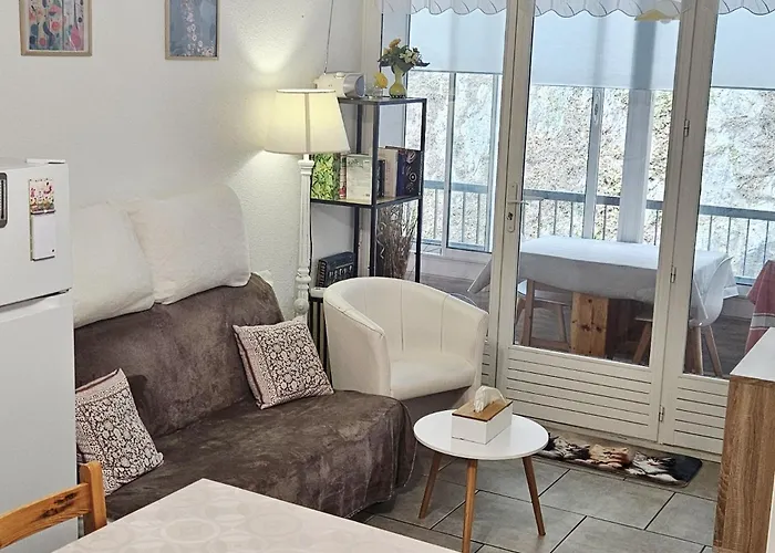 Apartment Neptune T2 Meuble De Tourisme 3 Etoiles - Forfait Cure Sur Demande *